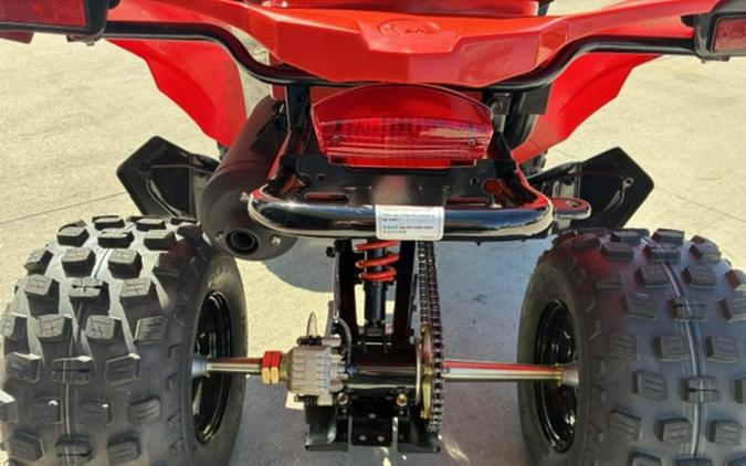 2027 Can-Am DS 250