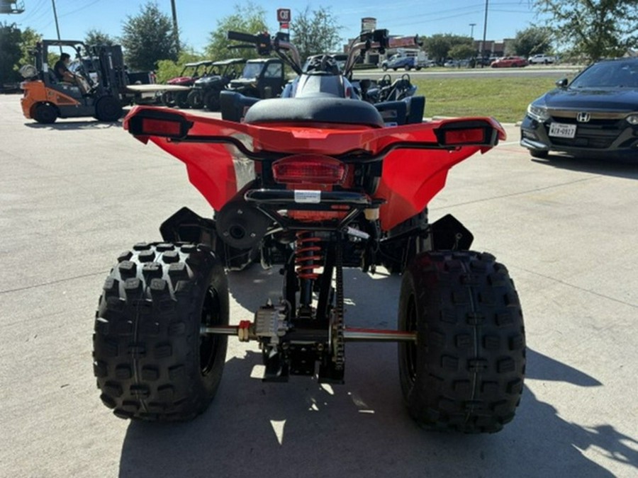 2027 Can-Am DS 250