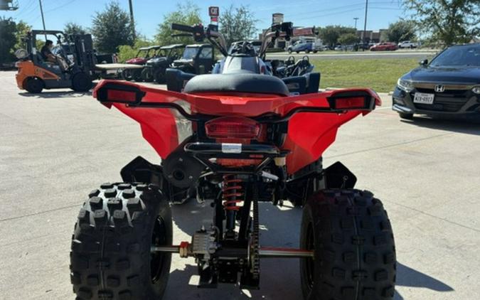 2027 Can-Am DS 250
