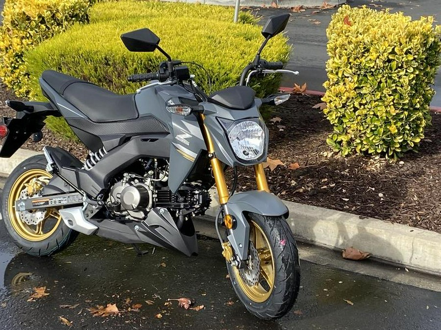 2024 Kawasaki Z125 PRO