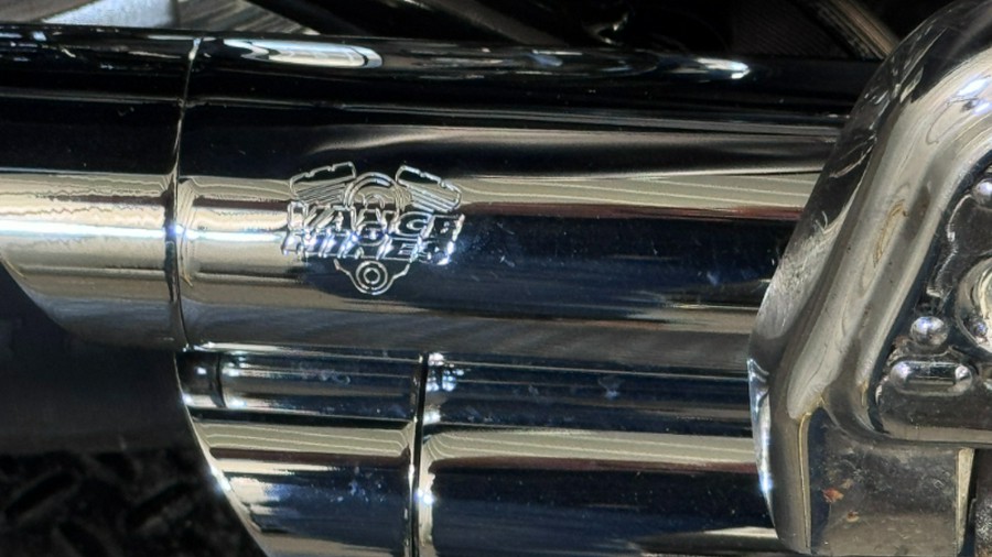 2003 Harley-Davidson SOFTAIL STANDARD (EFI)