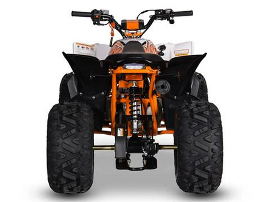 2025 Kayo Predator 110