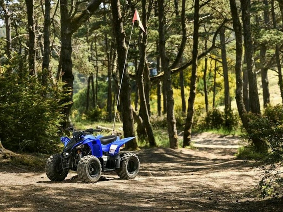 2025 Yamaha YFZ 50