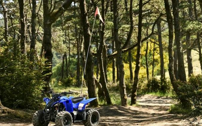 2025 Yamaha YFZ 50
