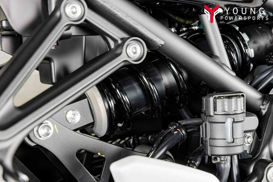 2026 Kawasaki Z900RS Cafe ABS