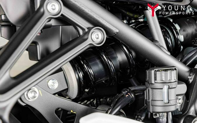 2026 Kawasaki Z900RS Cafe ABS