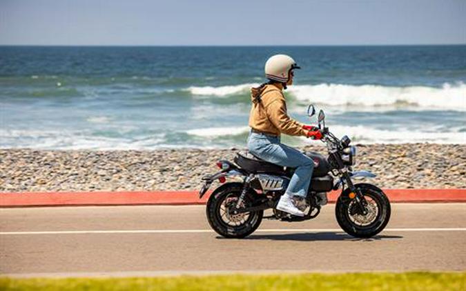 2026 Honda Monkey ABS
