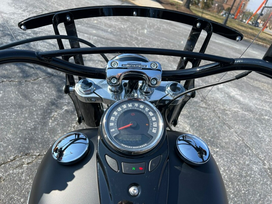 2019 FLSL Softail Slim®