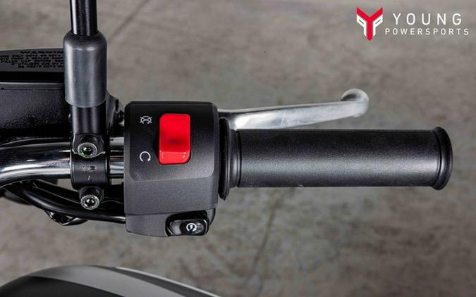 2026 Kawasaki W230 ABS