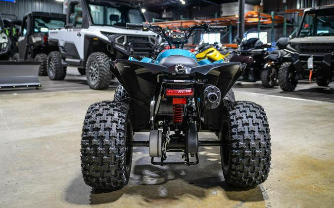 2026 Can-Am Renegade 110 EFI