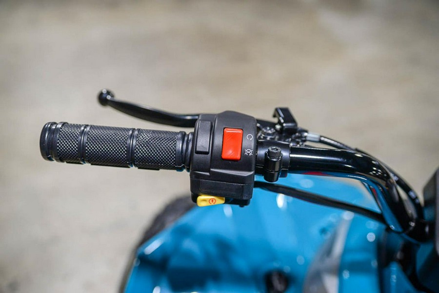 2026 Can-Am Renegade 110 EFI