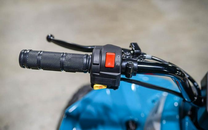 2026 Can-Am Renegade 110 EFI