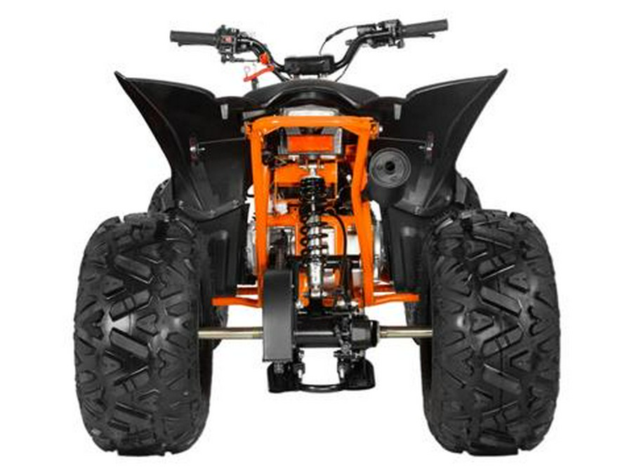 2025 Kayo Predator 125