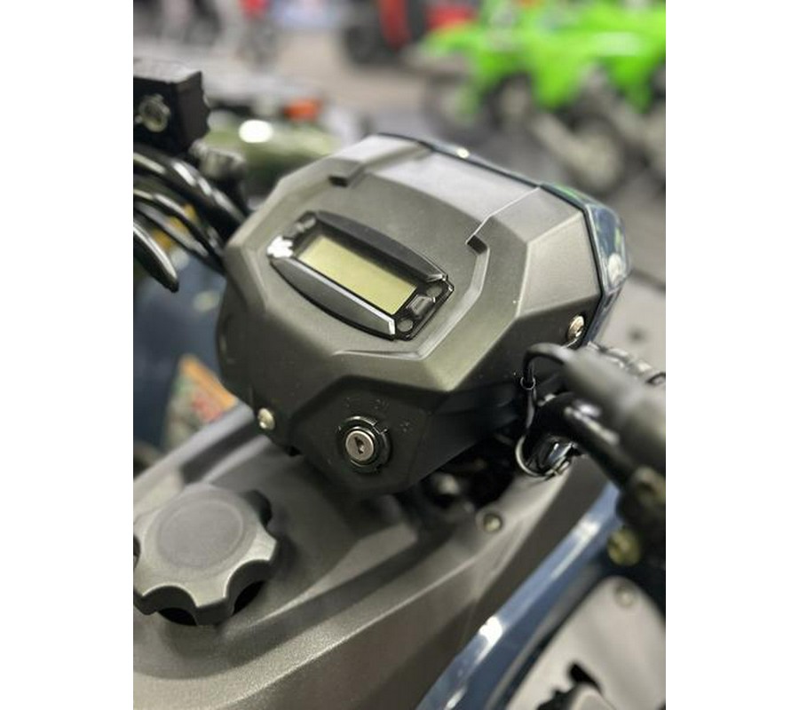 2026 Kawasaki Brute Force® 300