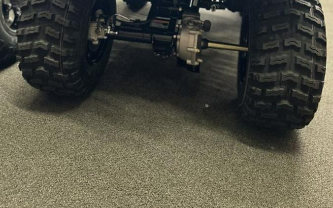 2026 Kawasaki Brute Force® 300