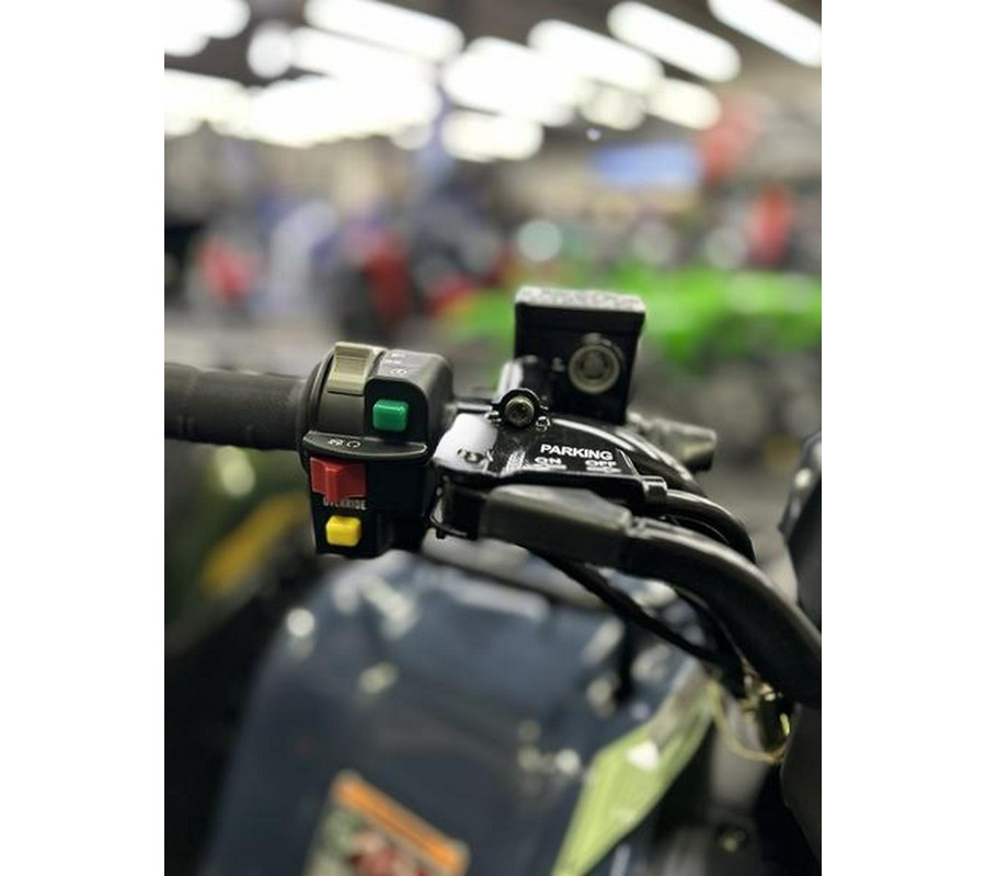 2026 Kawasaki Brute Force® 300