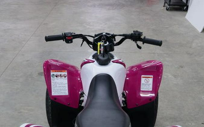 2023 Honda® TRX90X