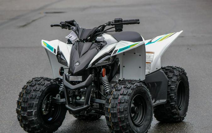 2023 Yamaha YFZ50