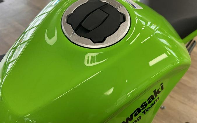 2025 Kawasaki Ninja 500 KRT Edition