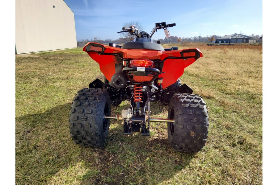 2026 Can-Am DS 250