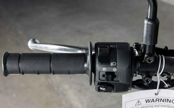 2026 Kawasaki KLX300SM