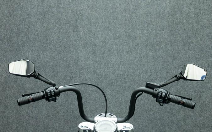 2019 HARLEY DAVIDSON FLSL SOFTAIL SLIM W/ABS