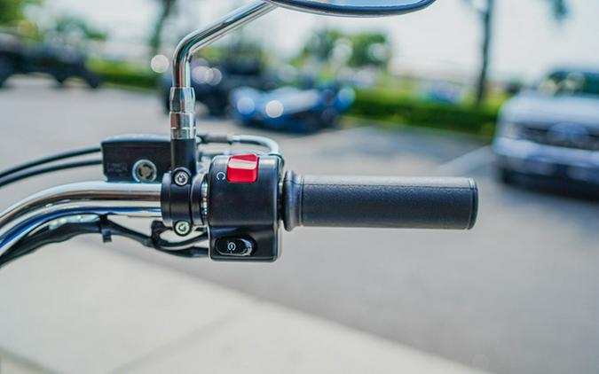 2026 Kawasaki Vulcan 900 Classic