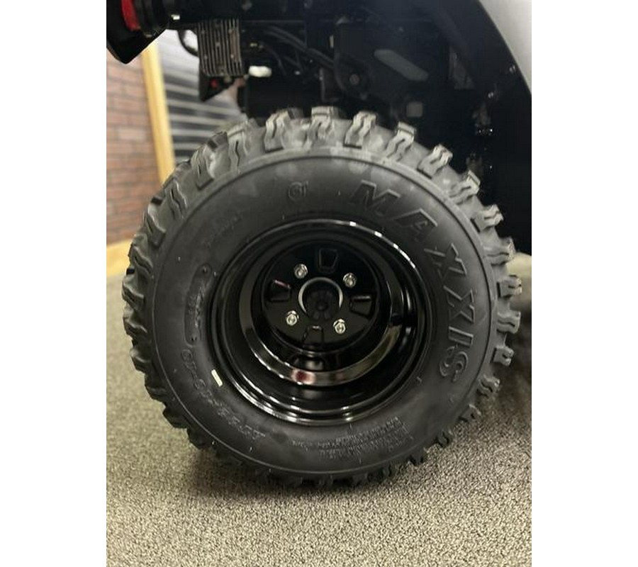 2026 Kawasaki Brute Force® 300