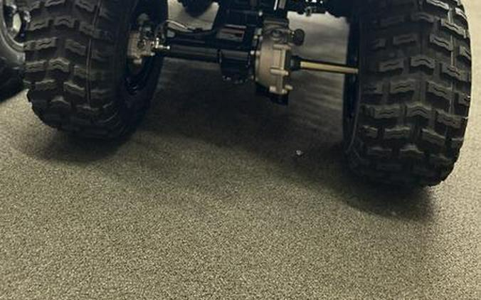 2026 Kawasaki Brute Force® 300