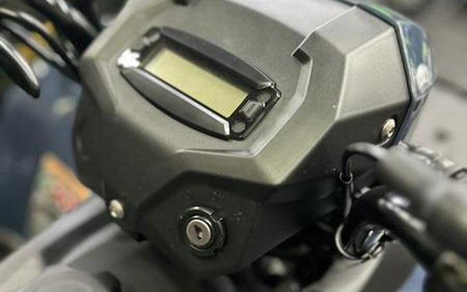 2026 Kawasaki Brute Force® 300