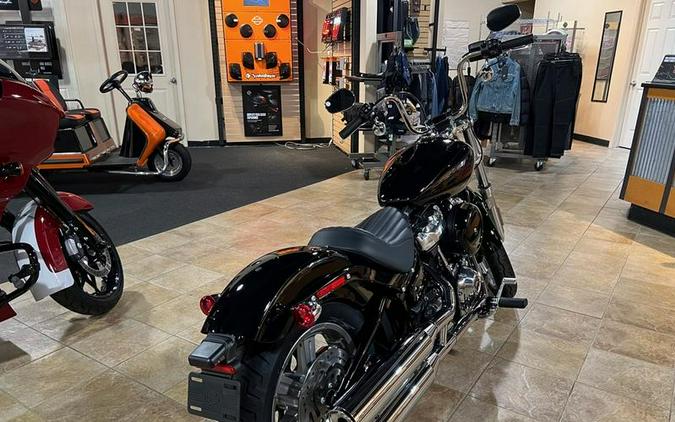 2024 Harley-Davidson® FXST - Softail® Standard