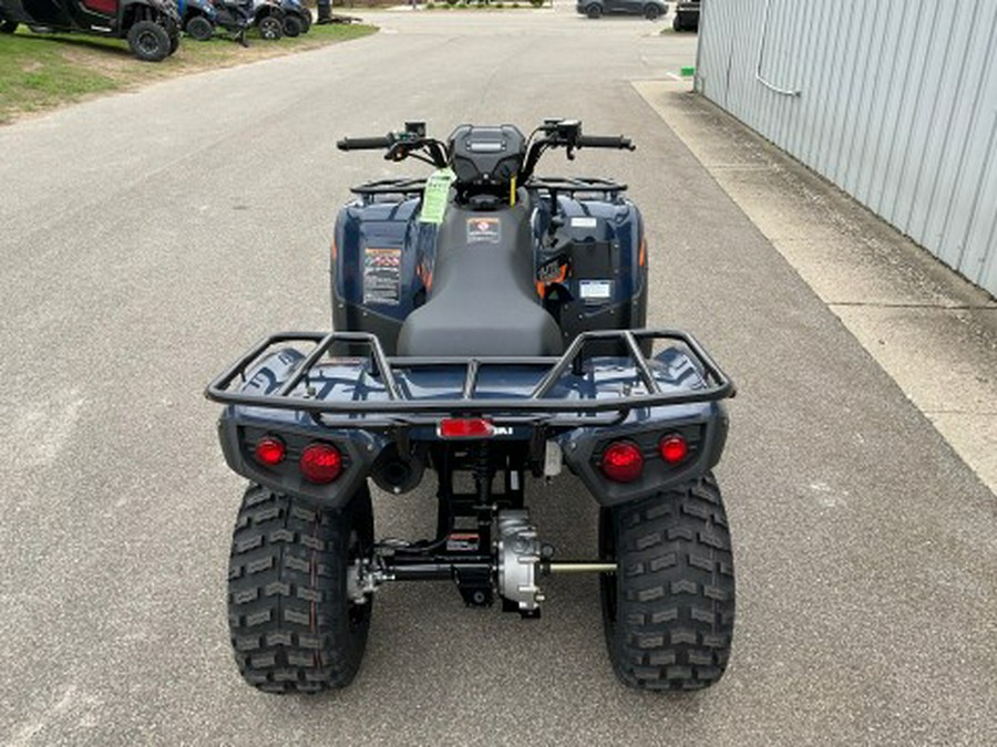 2026 Kawasaki Brute Force® 300
