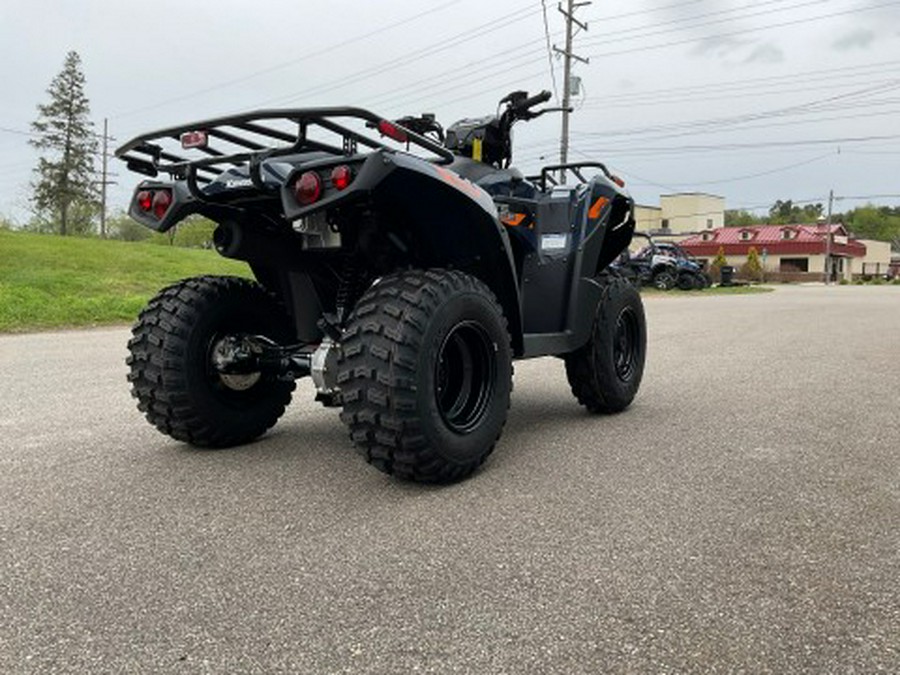 2026 Kawasaki Brute Force® 300