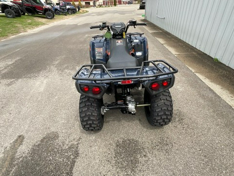 2026 Kawasaki Brute Force® 300