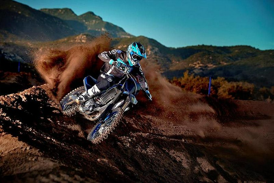 2025 Yamaha YZ450F Monster Energy Yamaha Racing Edition