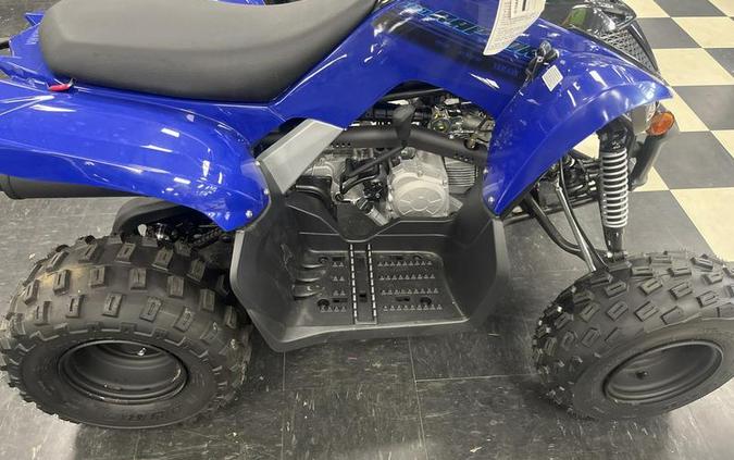 2024 Yamaha Raptor 110