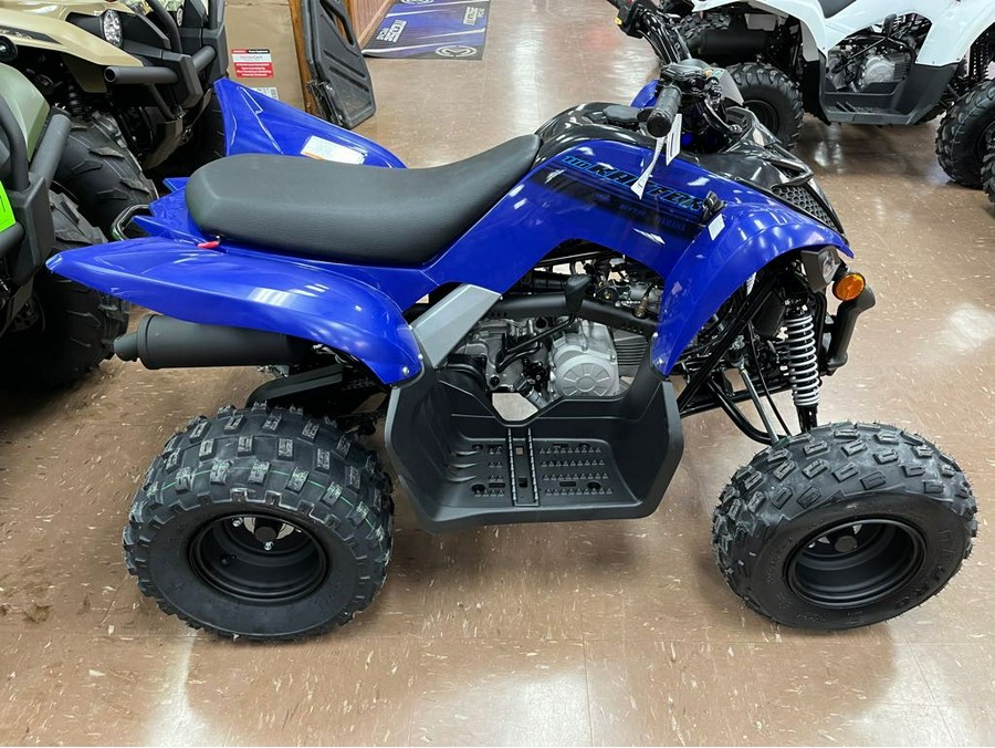 2024 Yamaha Raptor 110