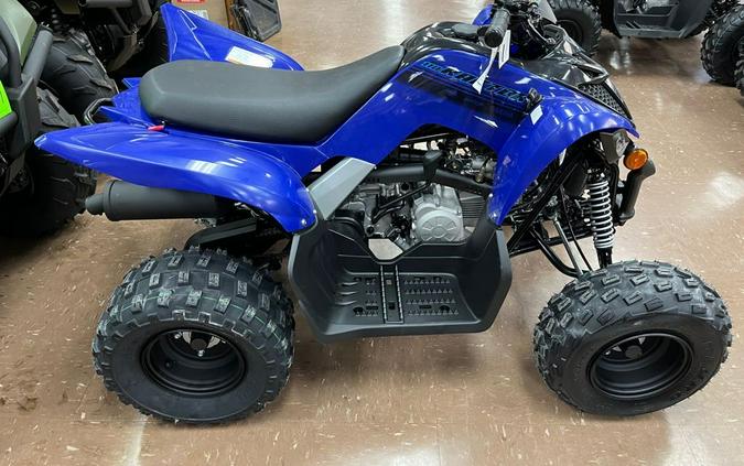 2024 Yamaha Raptor 110