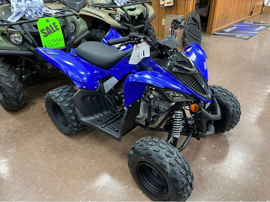 2024 Yamaha Raptor 110