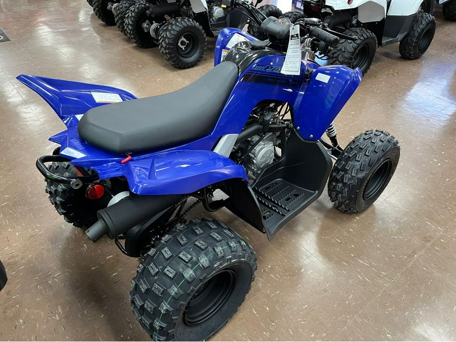 2024 Yamaha Raptor 110