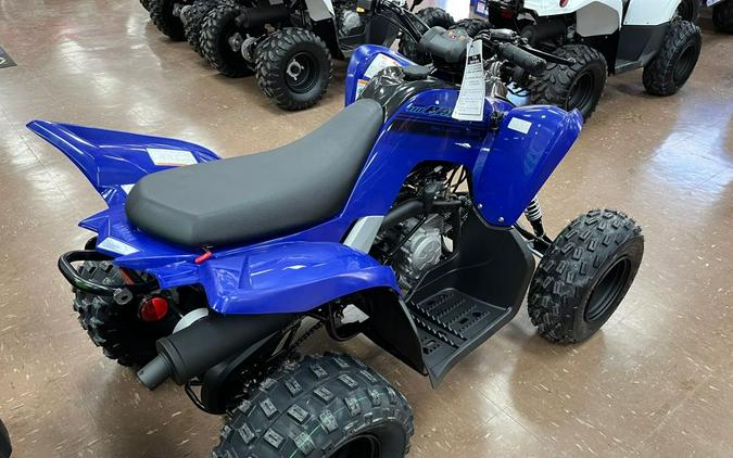 2024 Yamaha Raptor 110