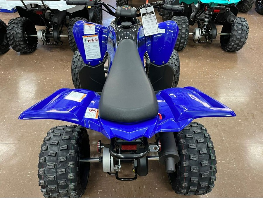 2024 Yamaha Raptor 110