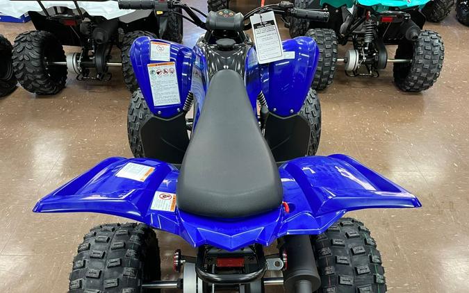 2024 Yamaha Raptor 110