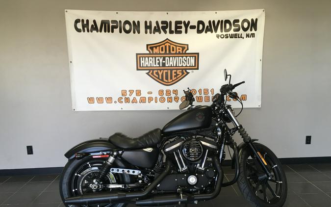 Iron 883™