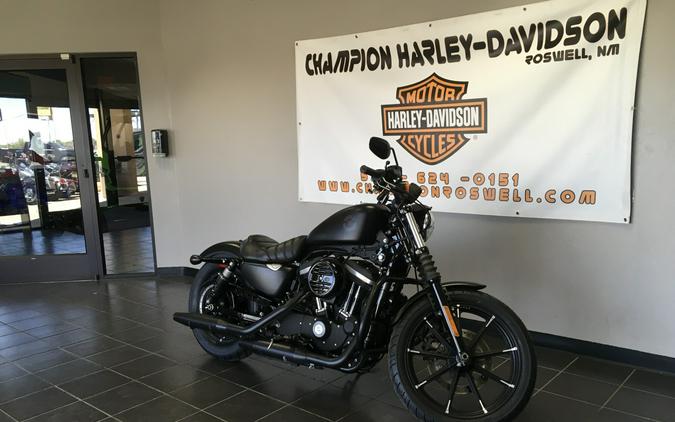 Iron 883™