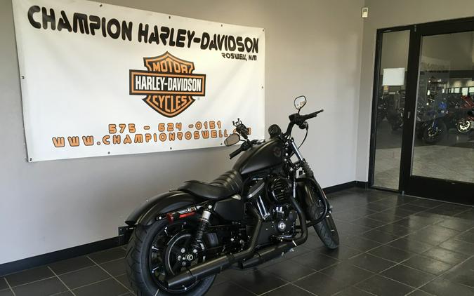 Iron 883™