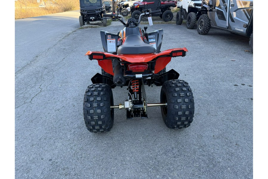 2026 Can-Am DS 250