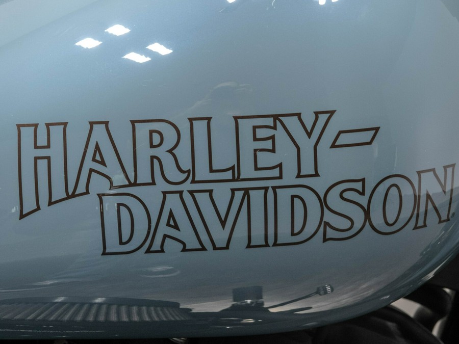 2024 HARLEY-DAVIDSON FXLRS LOW RIDER S in Sharkskin Blue