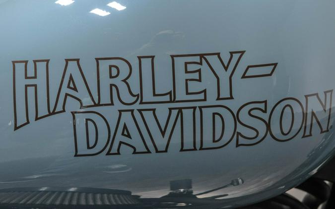 2024 HARLEY-DAVIDSON FXLRS LOW RIDER S in Sharkskin Blue