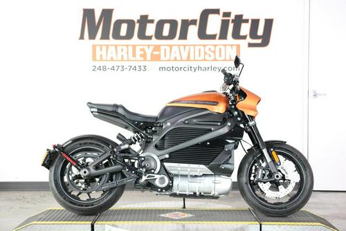 2020 Harley-Davidson LiveWire First Ride